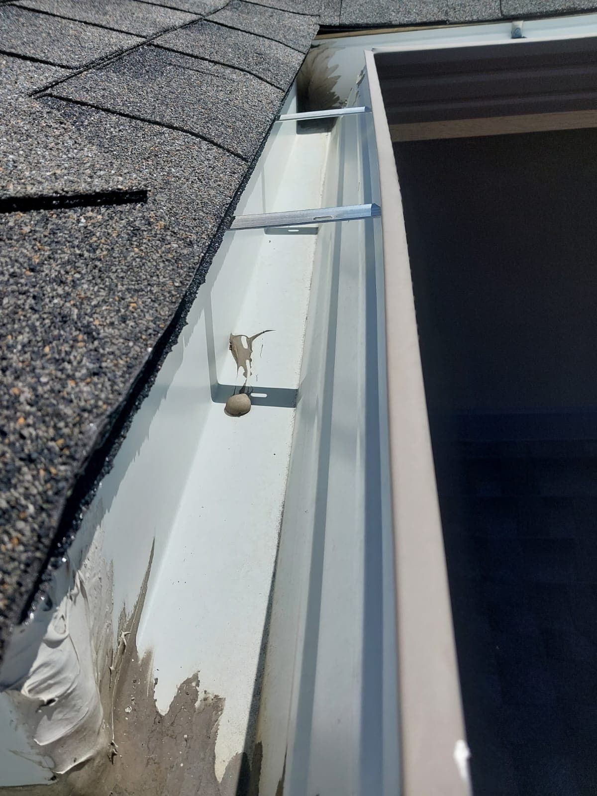 Gutter cleaning